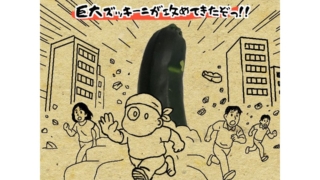 ズッキーニってこんなに大きくなるんだ
