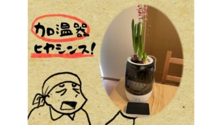 加湿器が異世界転生したら水槽になっていた件